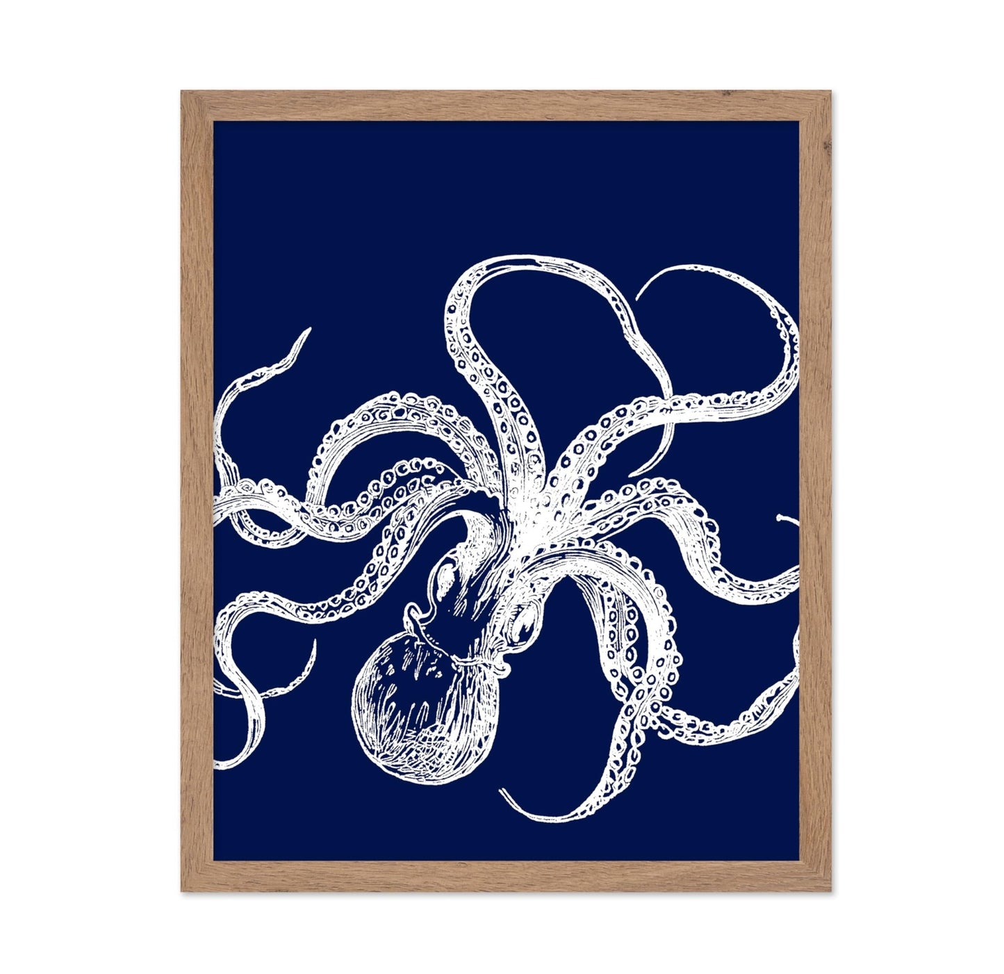 Octopus No1