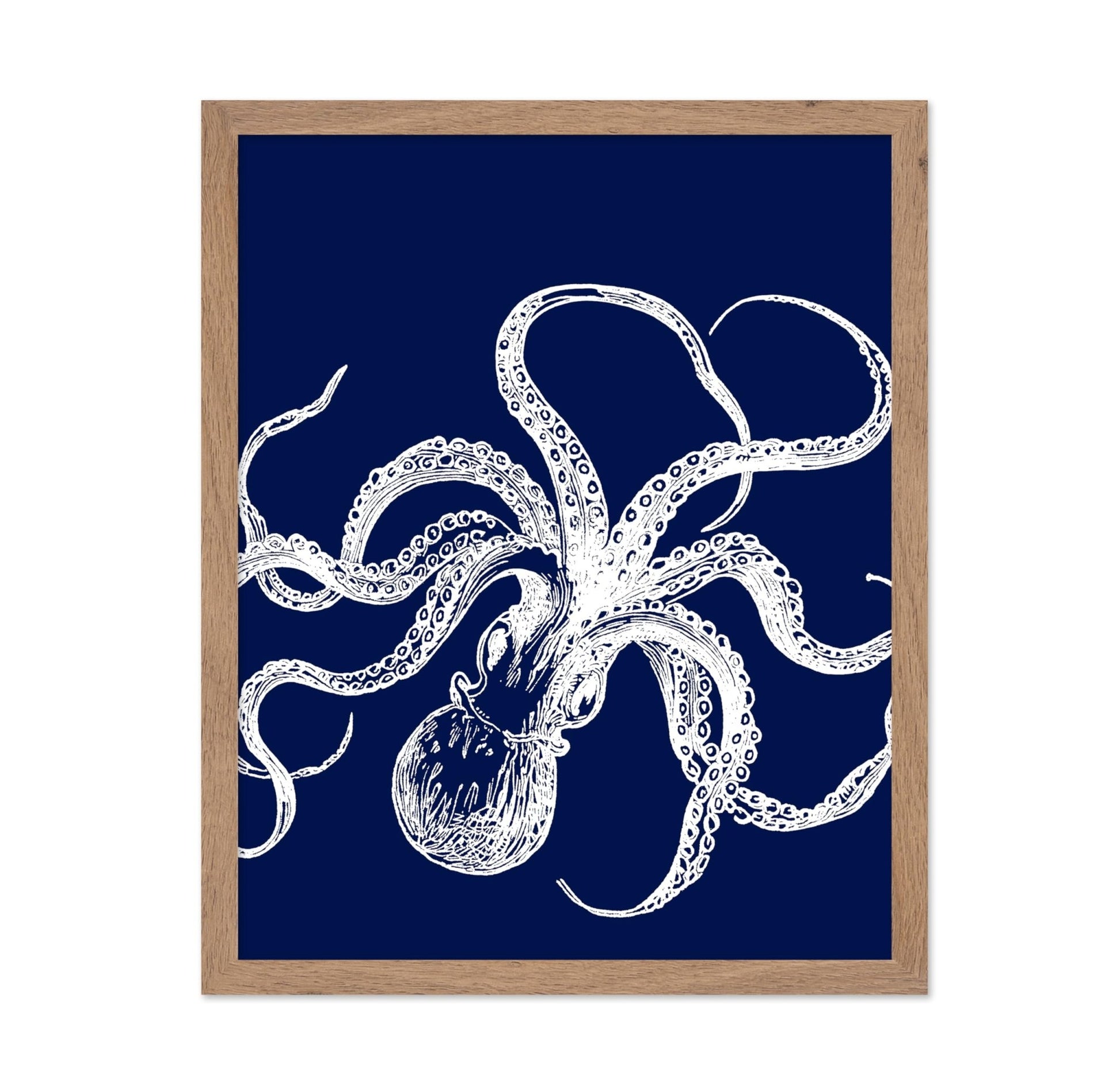 Octopus No1