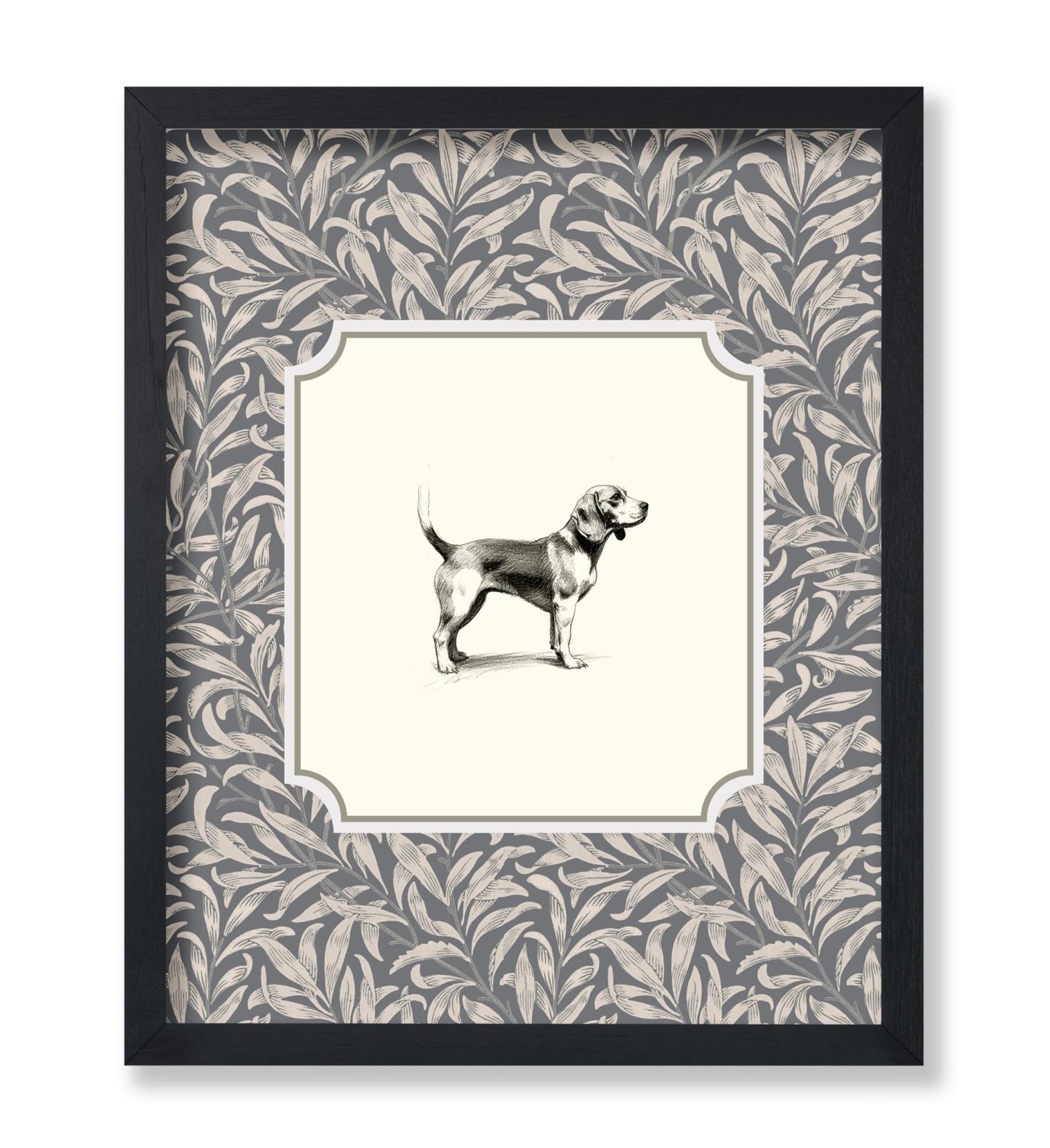 Beagle Dog