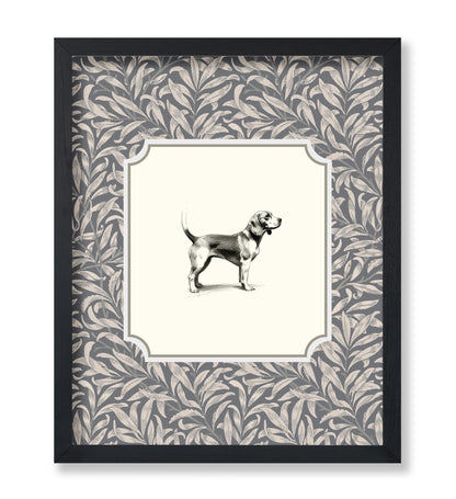 Beagle Dog