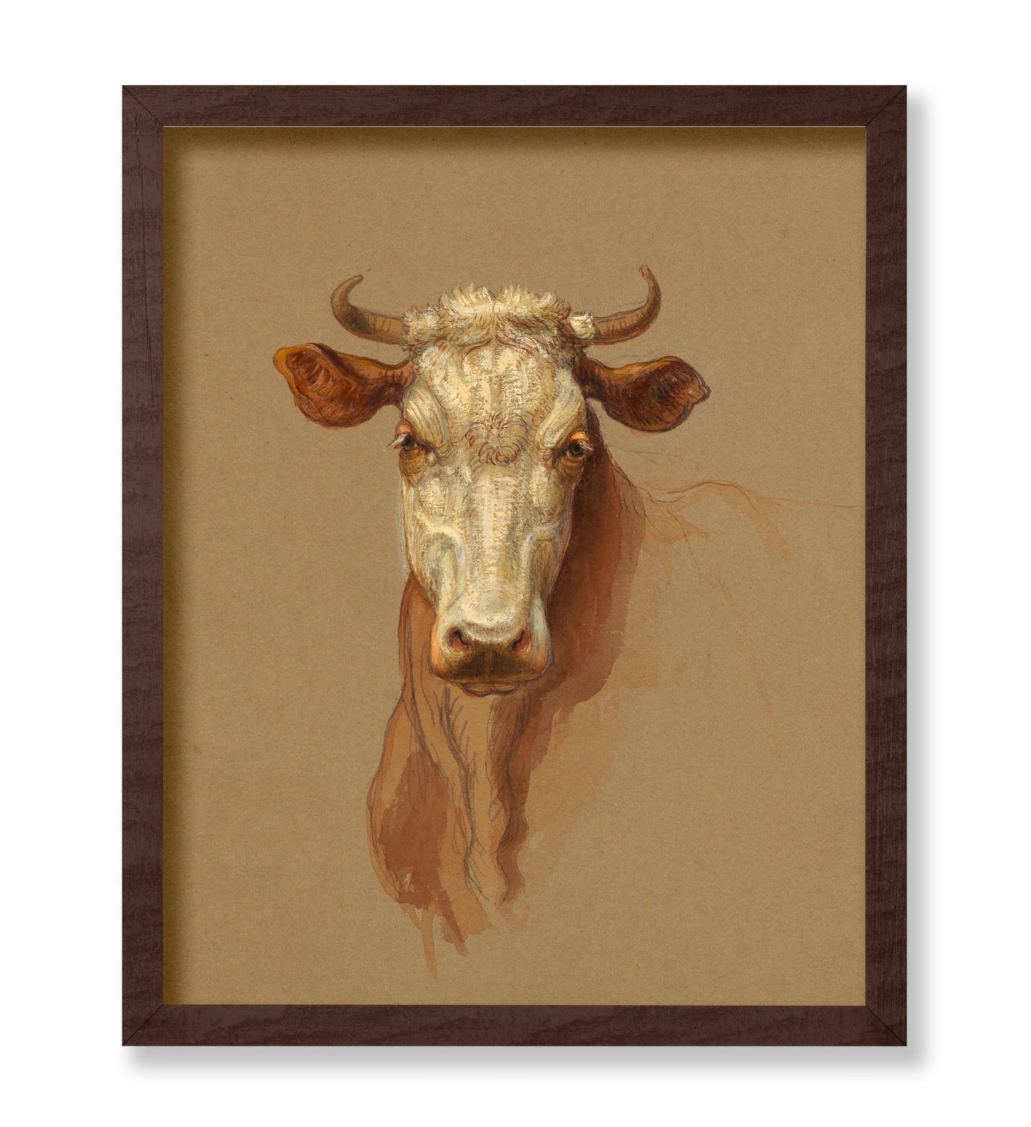 Drawing, Two Studies. Cattle