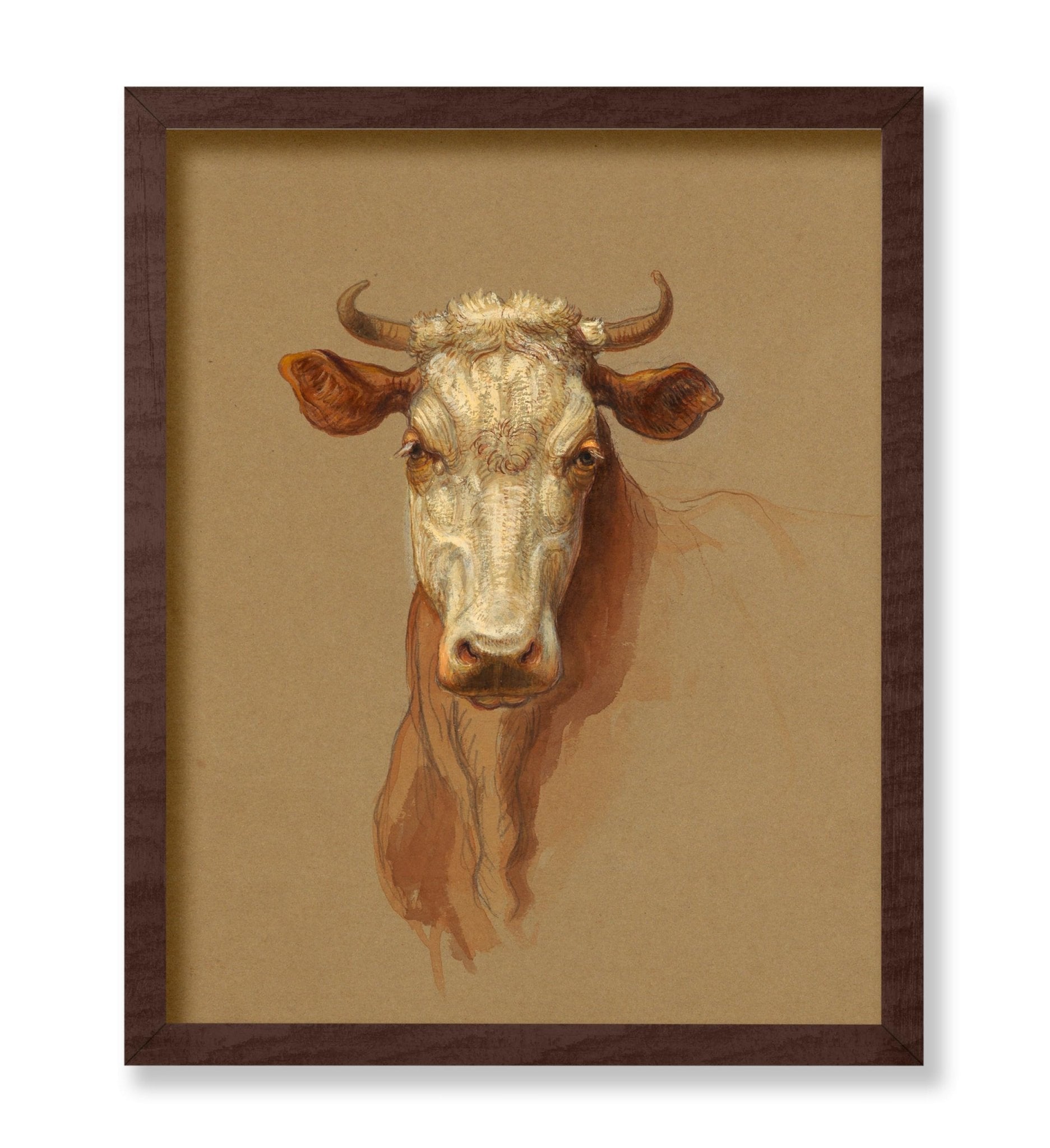 Drawing, Two Studies. Cattle