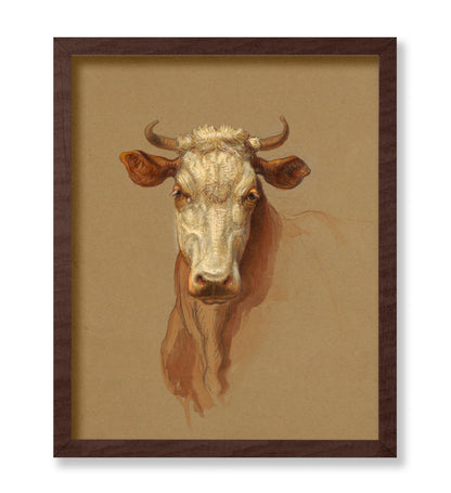 Drawing, Two Studies. Cattle