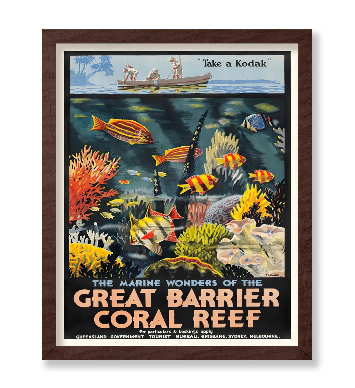 The Marine Wonders of the Great Barrier Coral Reef