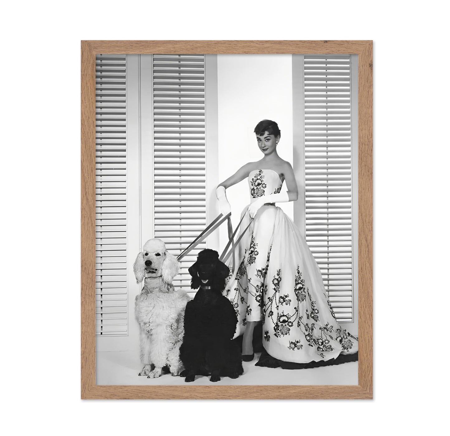 Audrey With Poodles