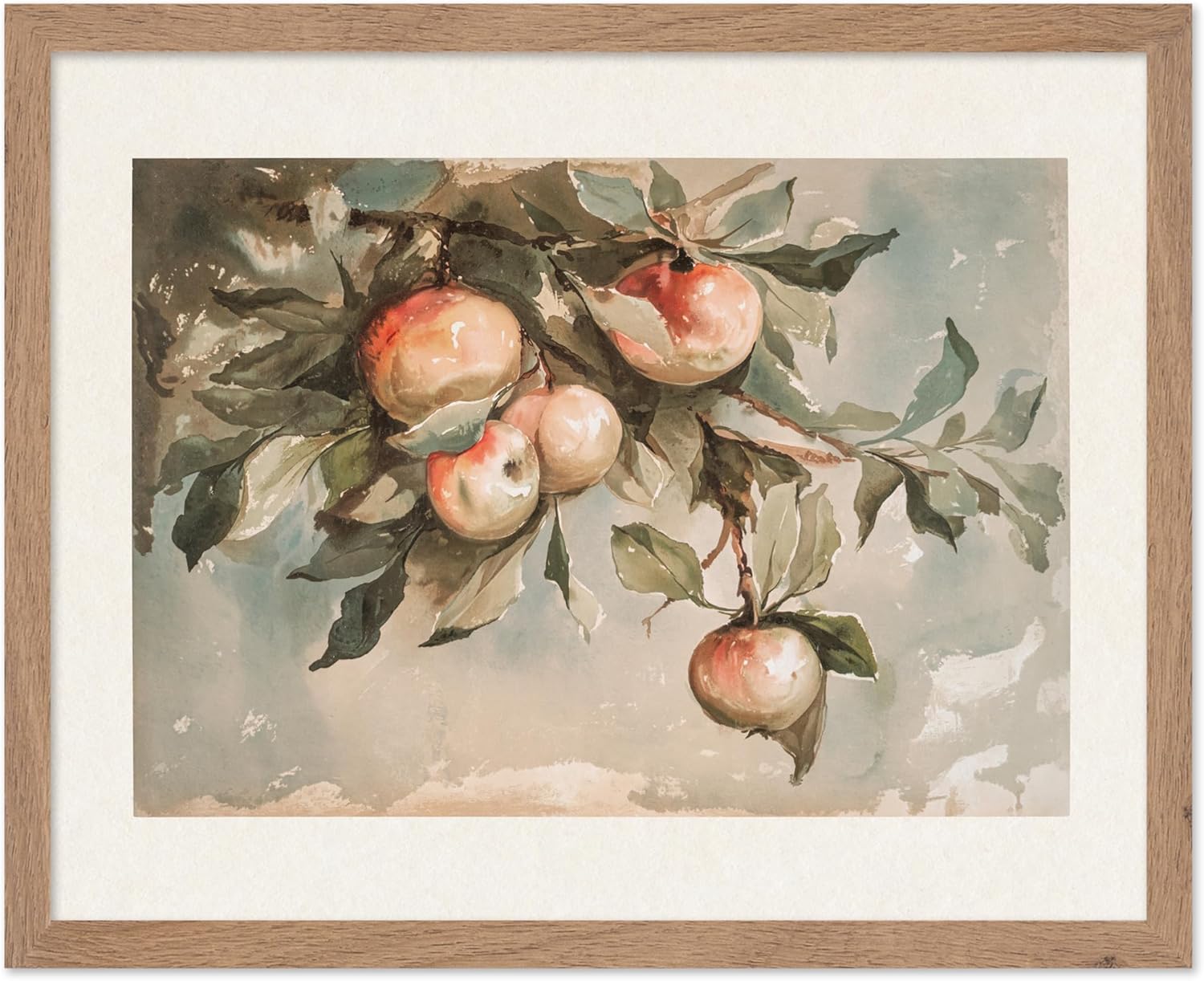 Study of Apples