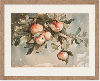 Study of Apples