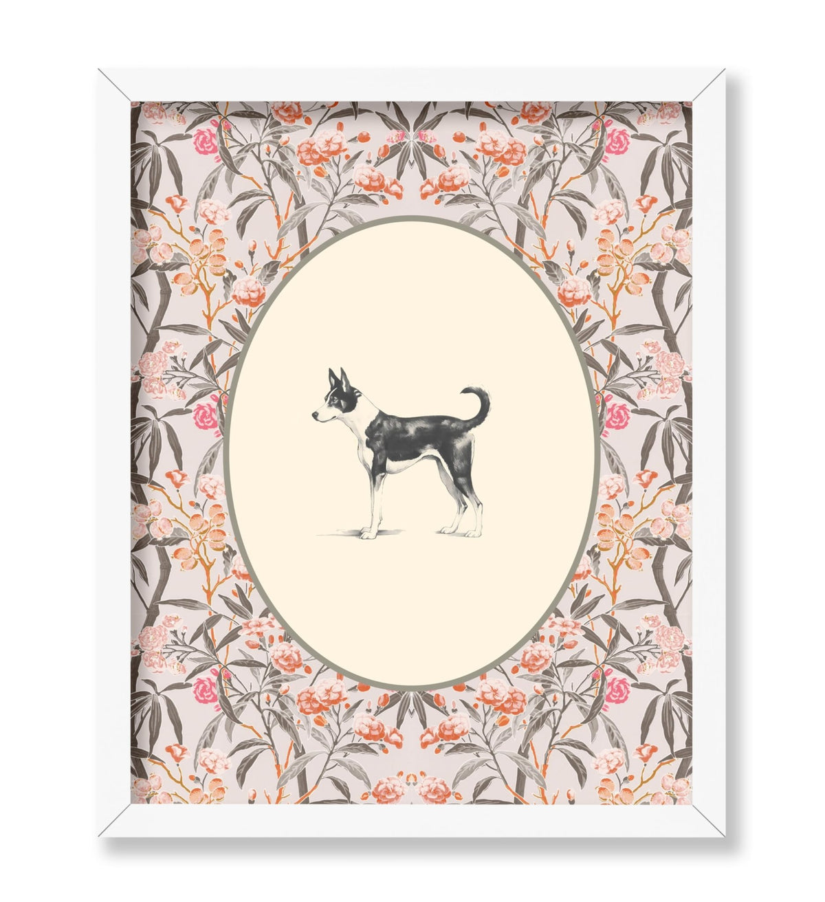 Basenji Portrait