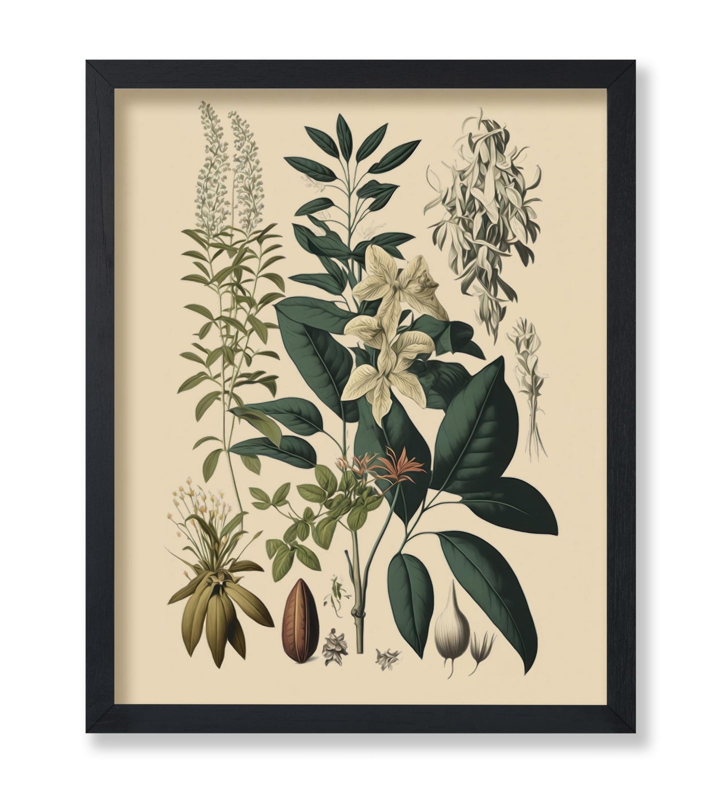 Wild Flower No1