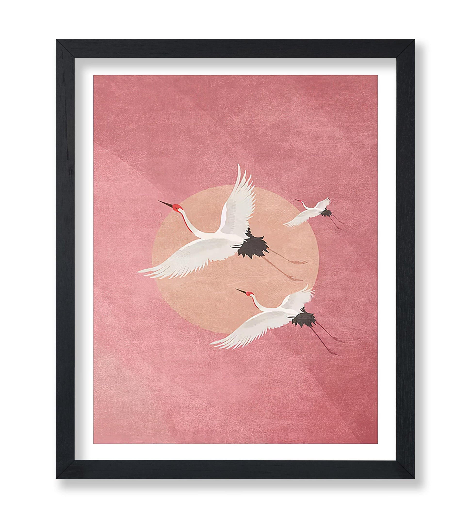 Flying Cranes, Pink Sky And Sun