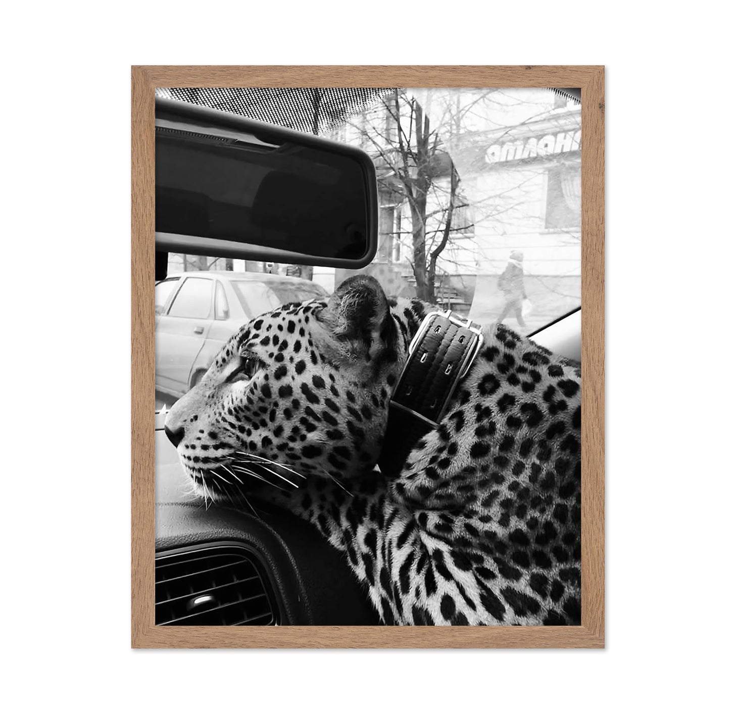 Cheetah in the Car