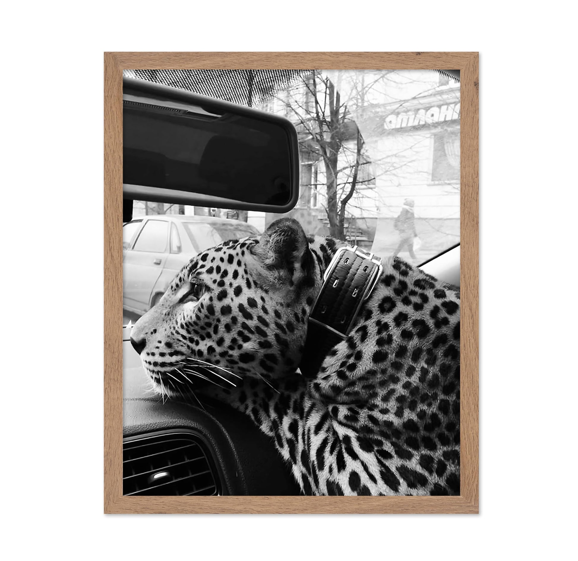 Cheetah in the Car