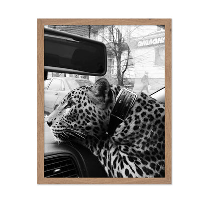 Cheetah in the Car