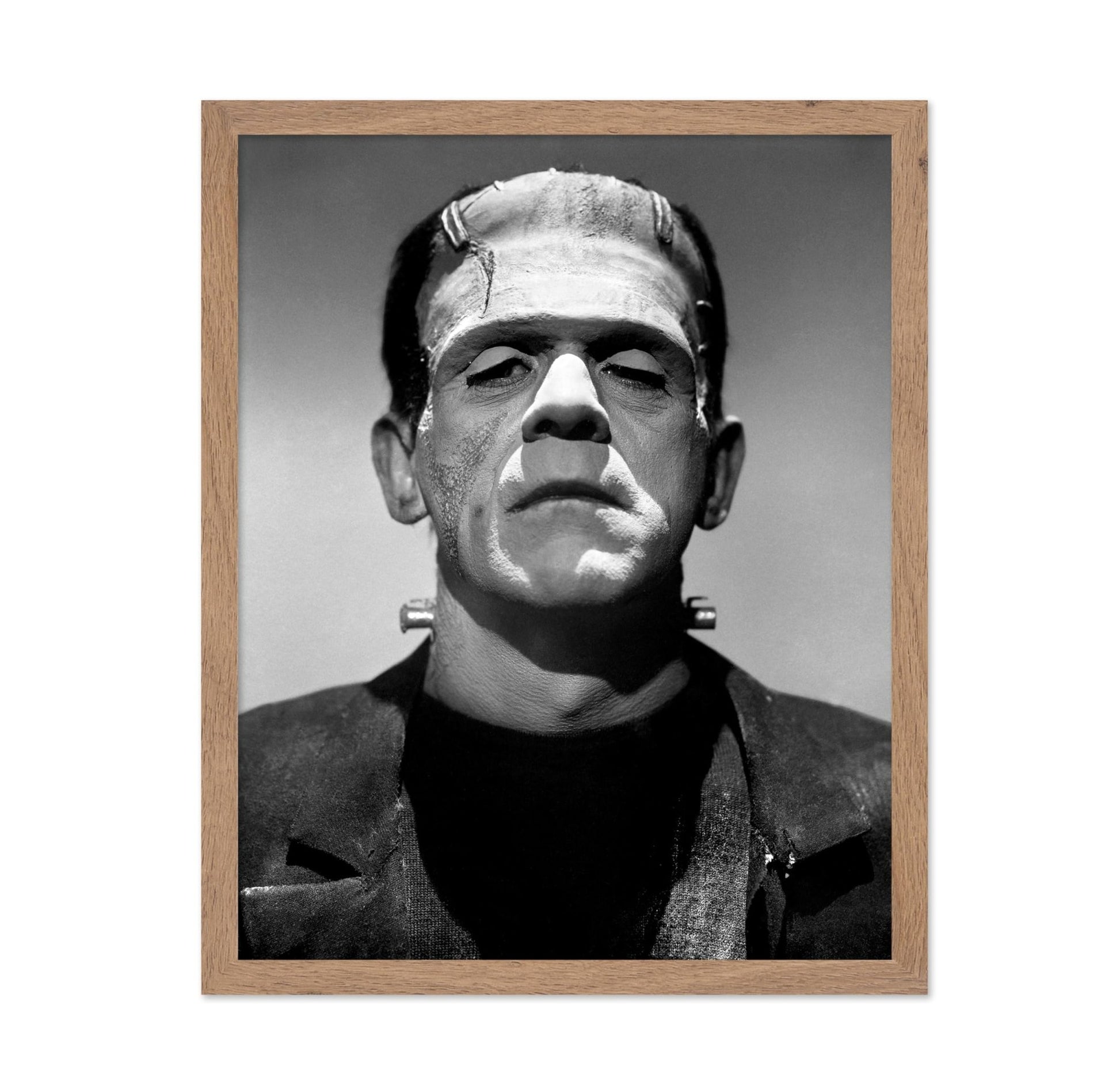 Frankenstein's Monster No1