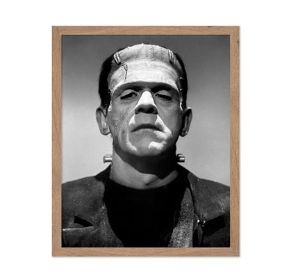 Frankenstein's Monster No1