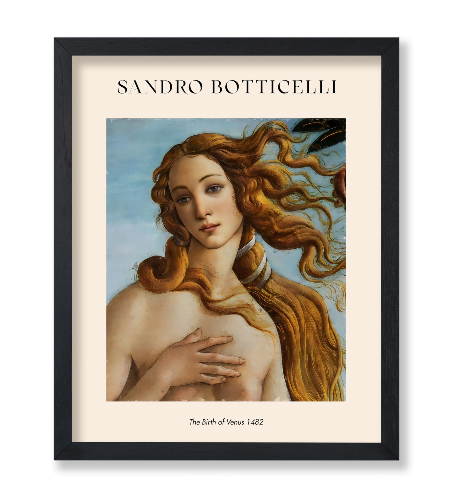 Sandro Botticelli - The Birth of Venus No3