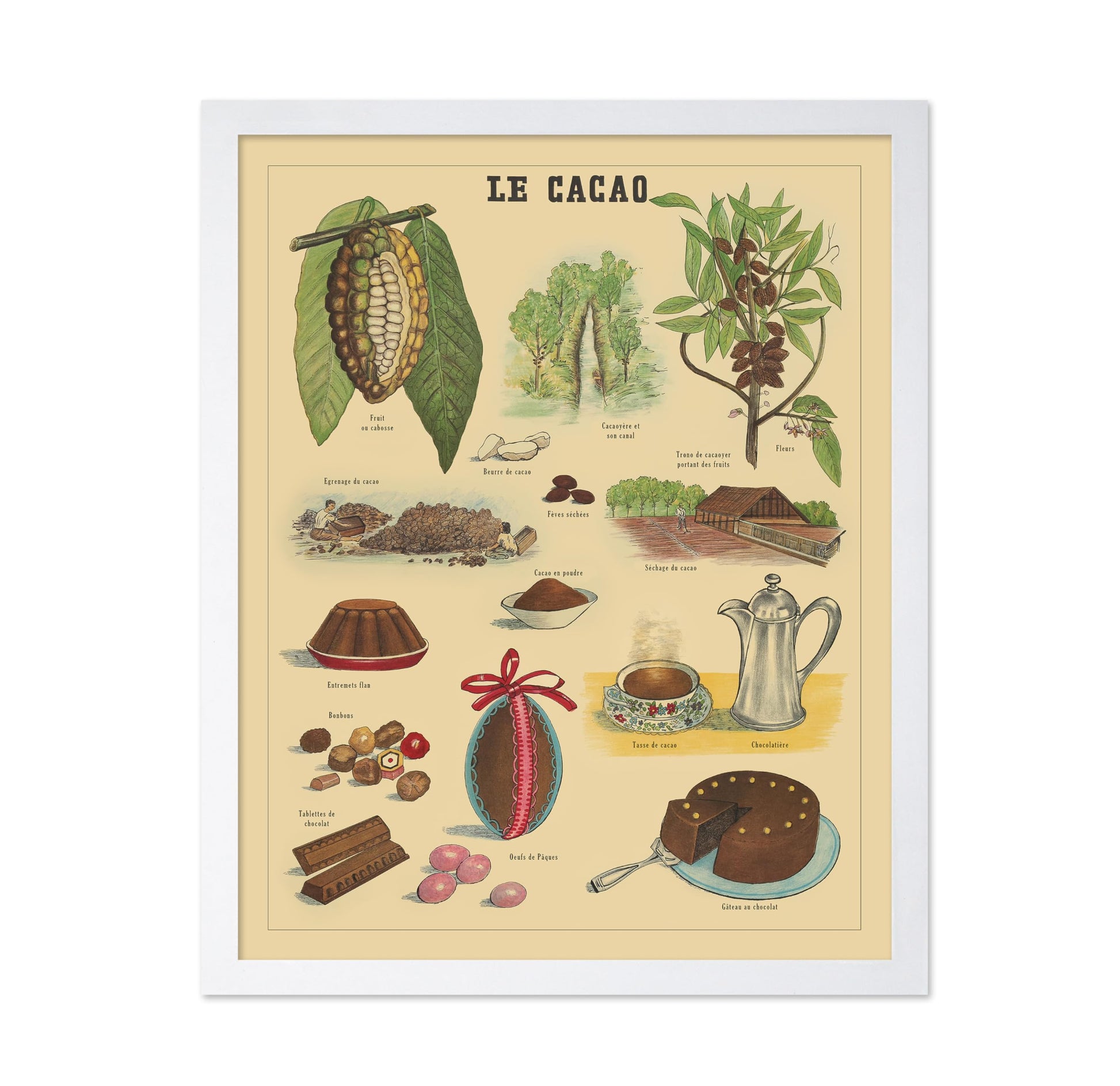 Le Cacao