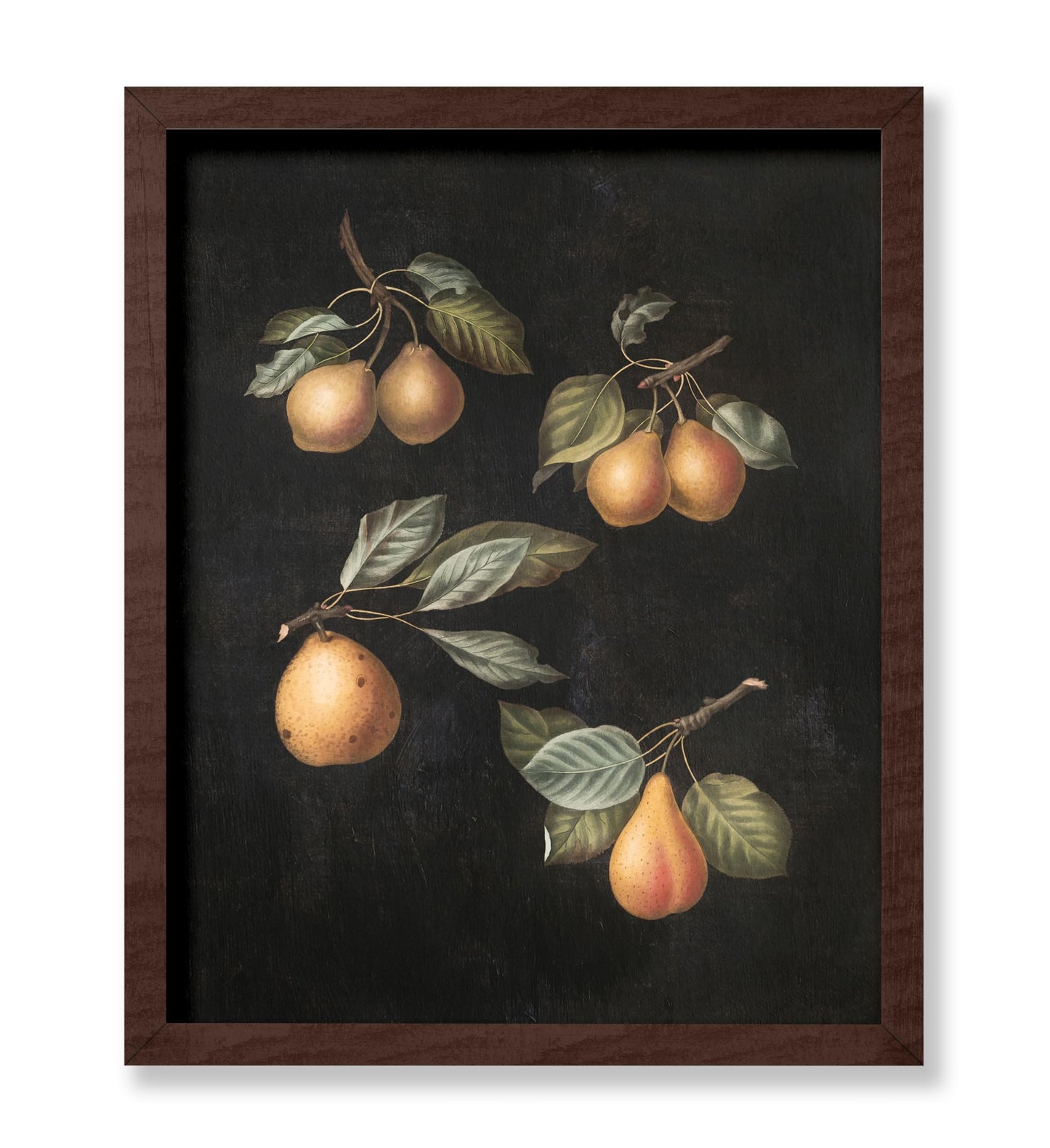 George Brookshaw - Pears