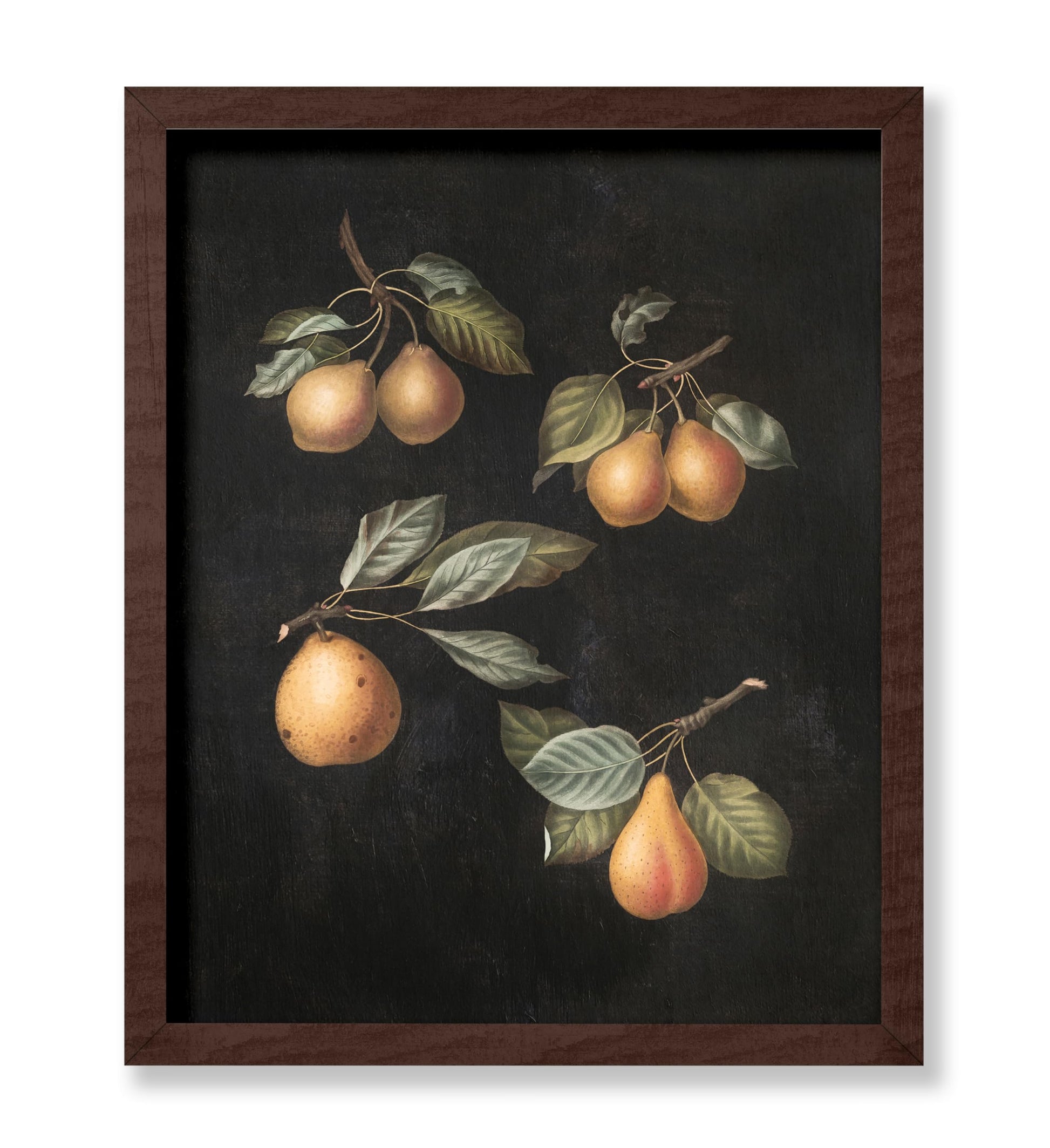 George Brookshaw - Pears