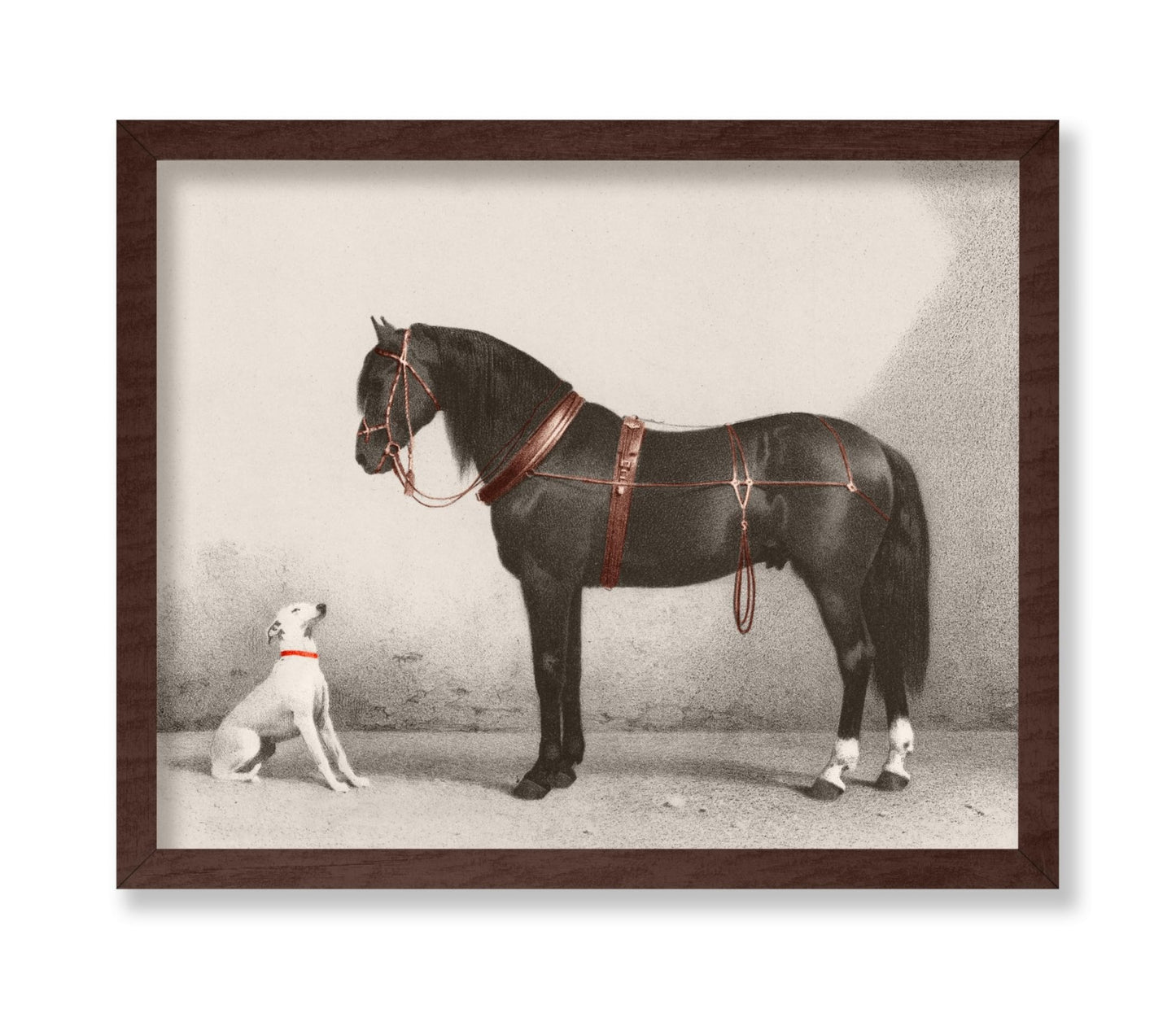 Horse and Dog