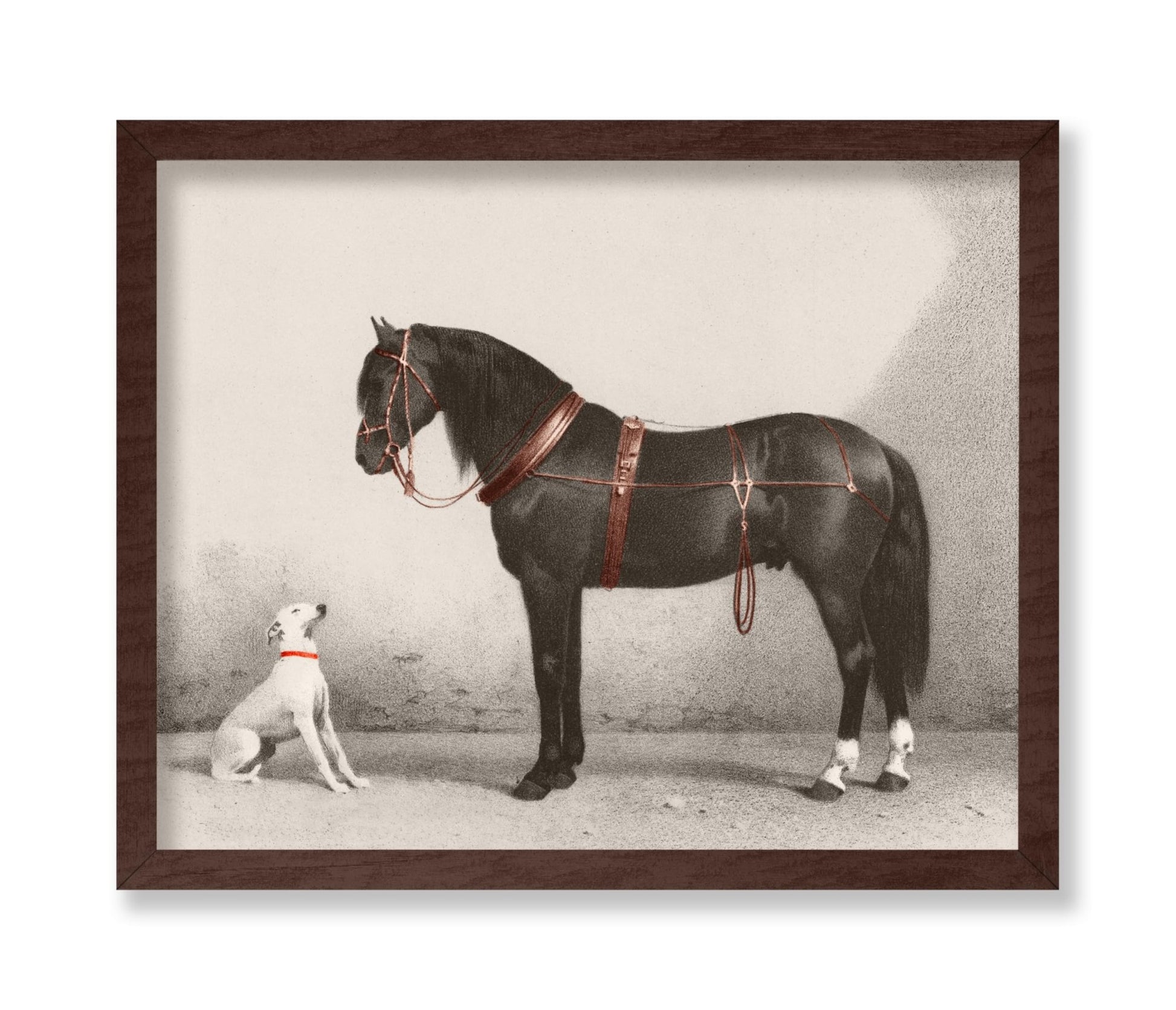 Horse and Dog
