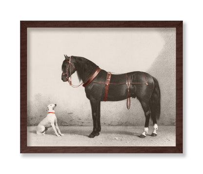 Horse and Dog
