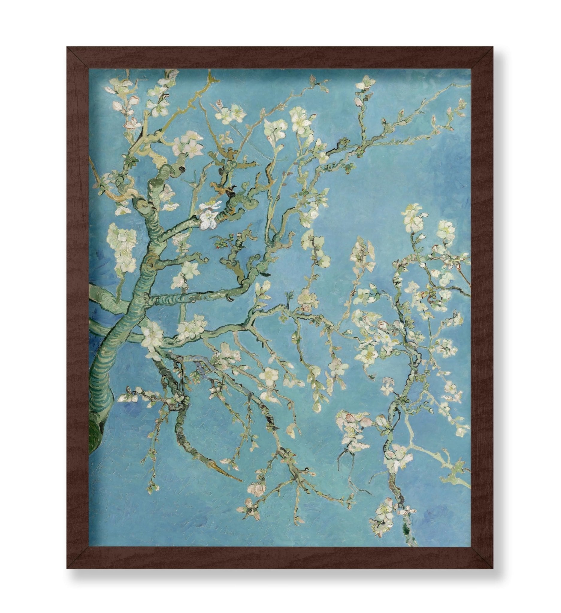 Van Gogh - Almond Blossoms Poster