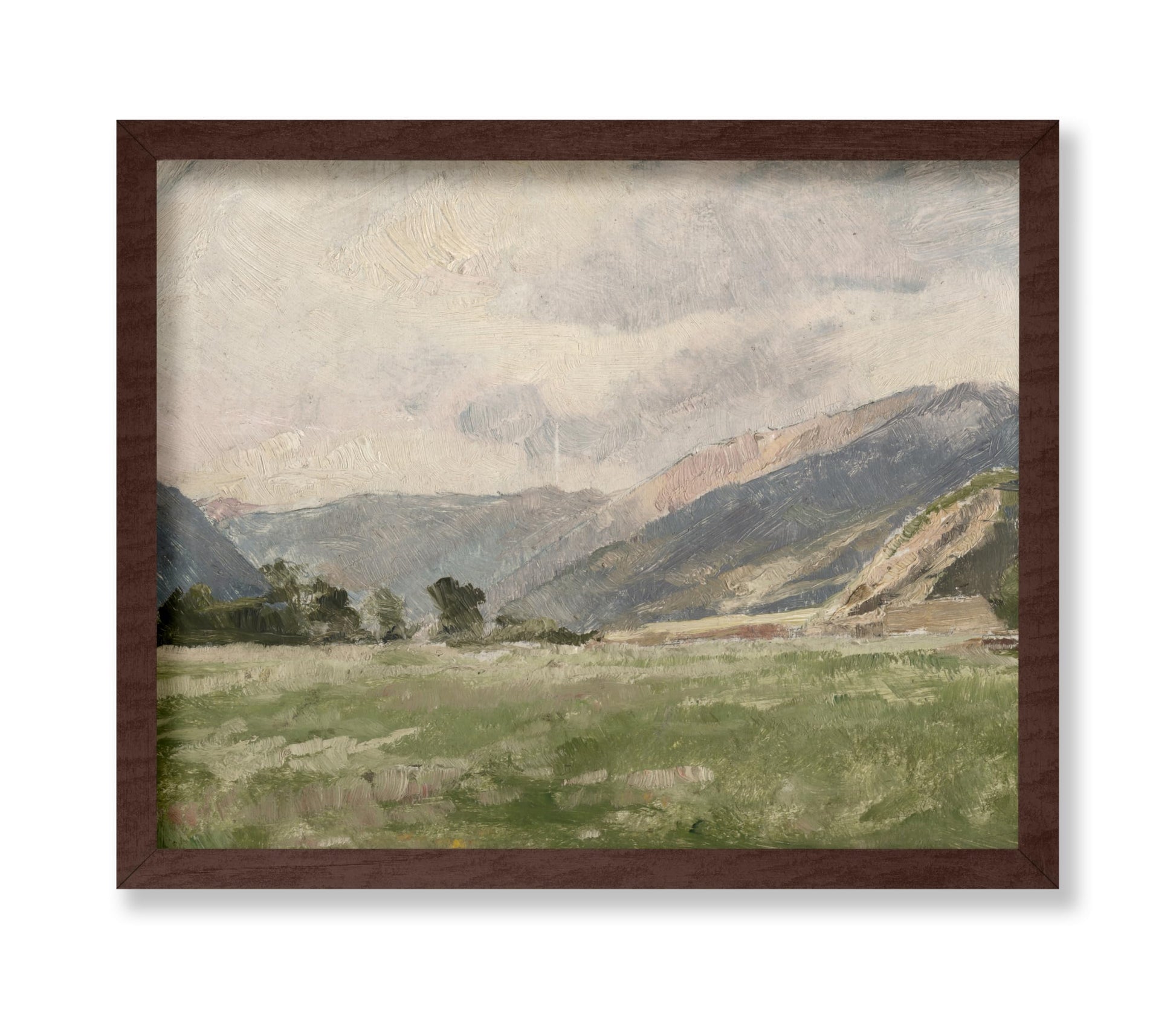 Mountain Meadow