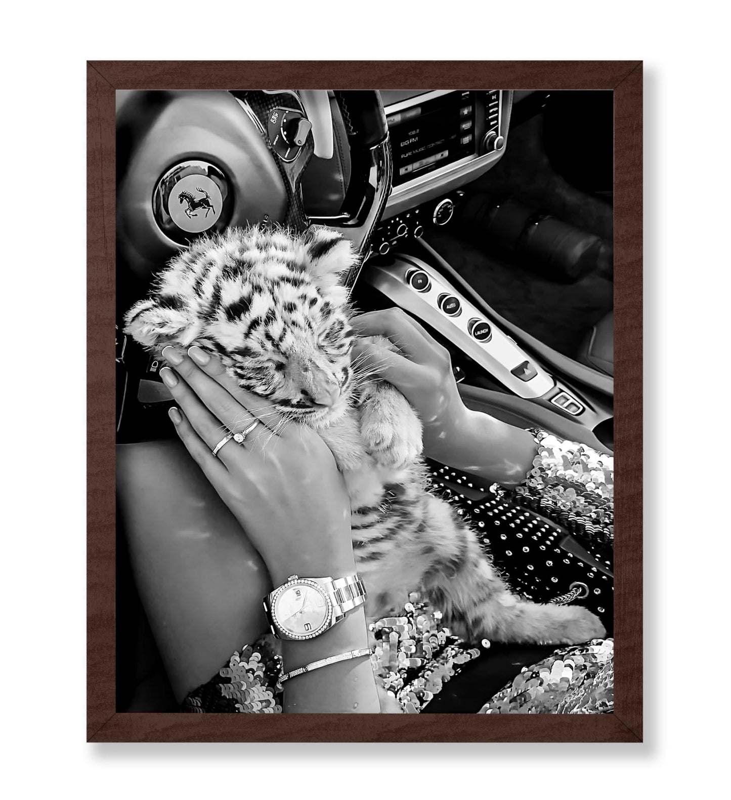 Baby Tiger in Car