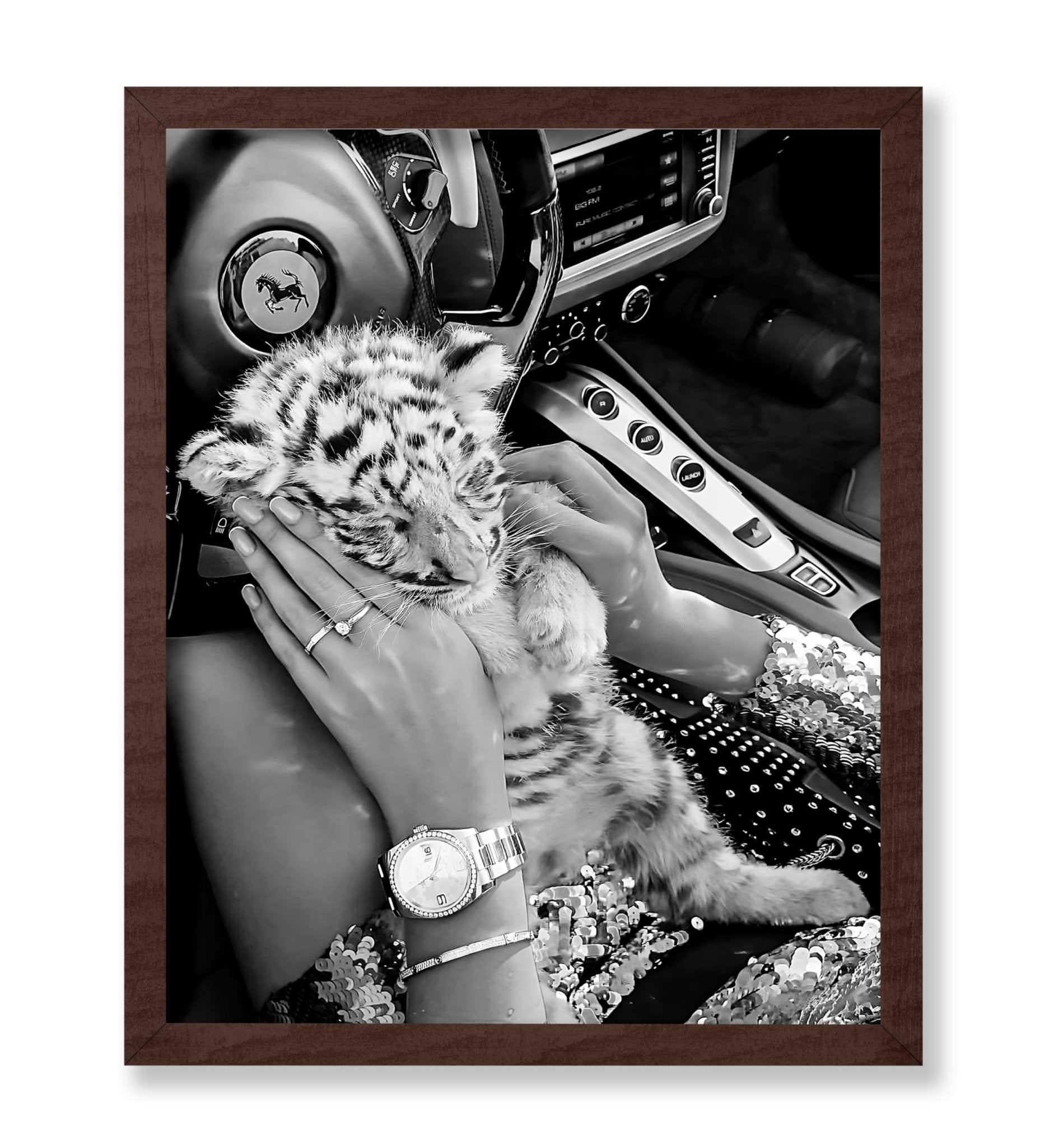 Baby Tiger in Car