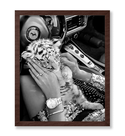 Baby Tiger in Car