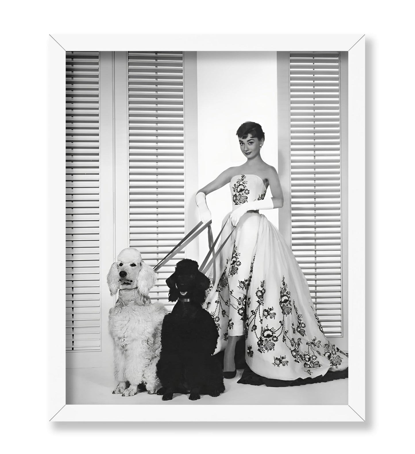 Audrey With Poodles