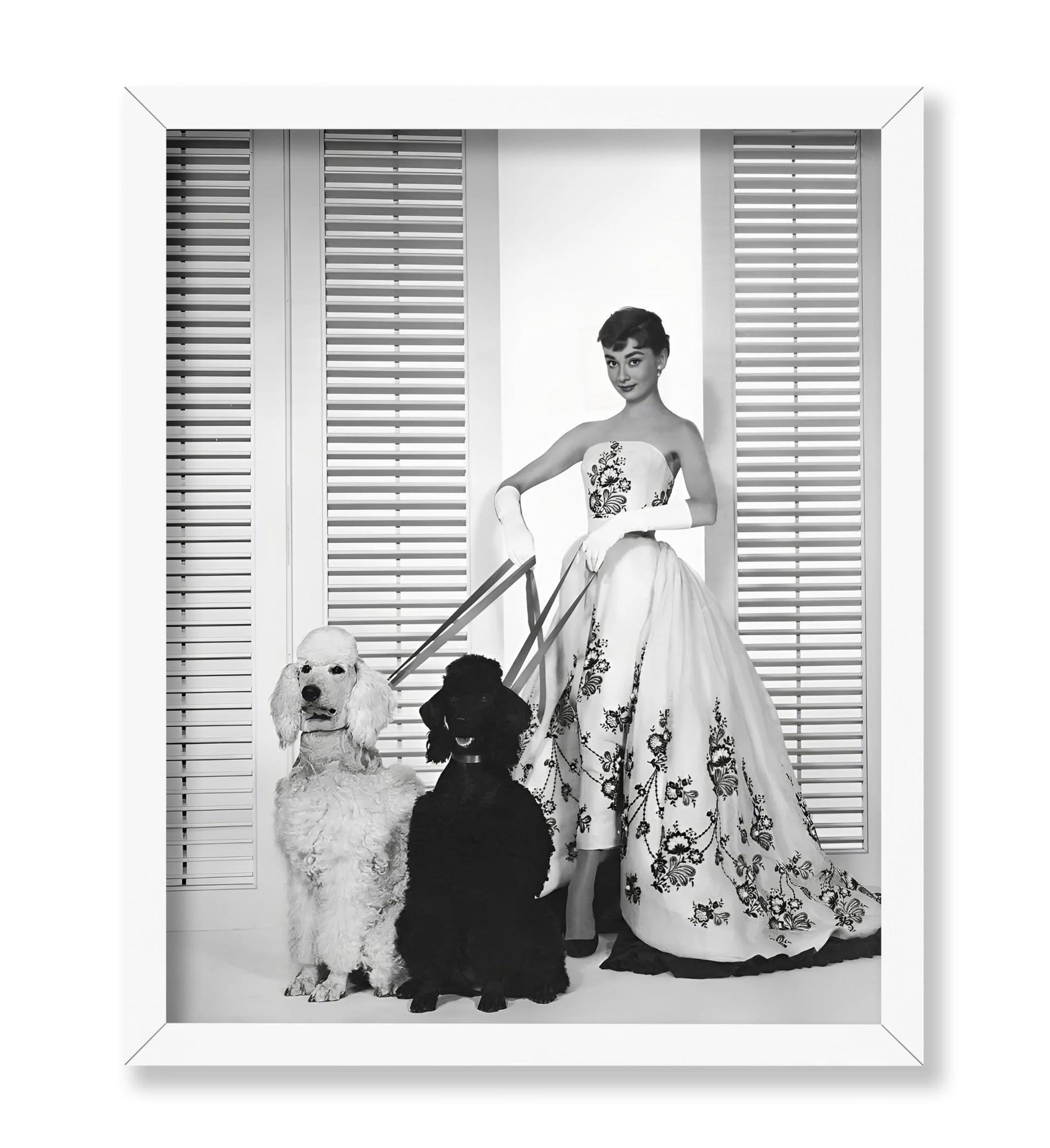 Audrey With Poodles