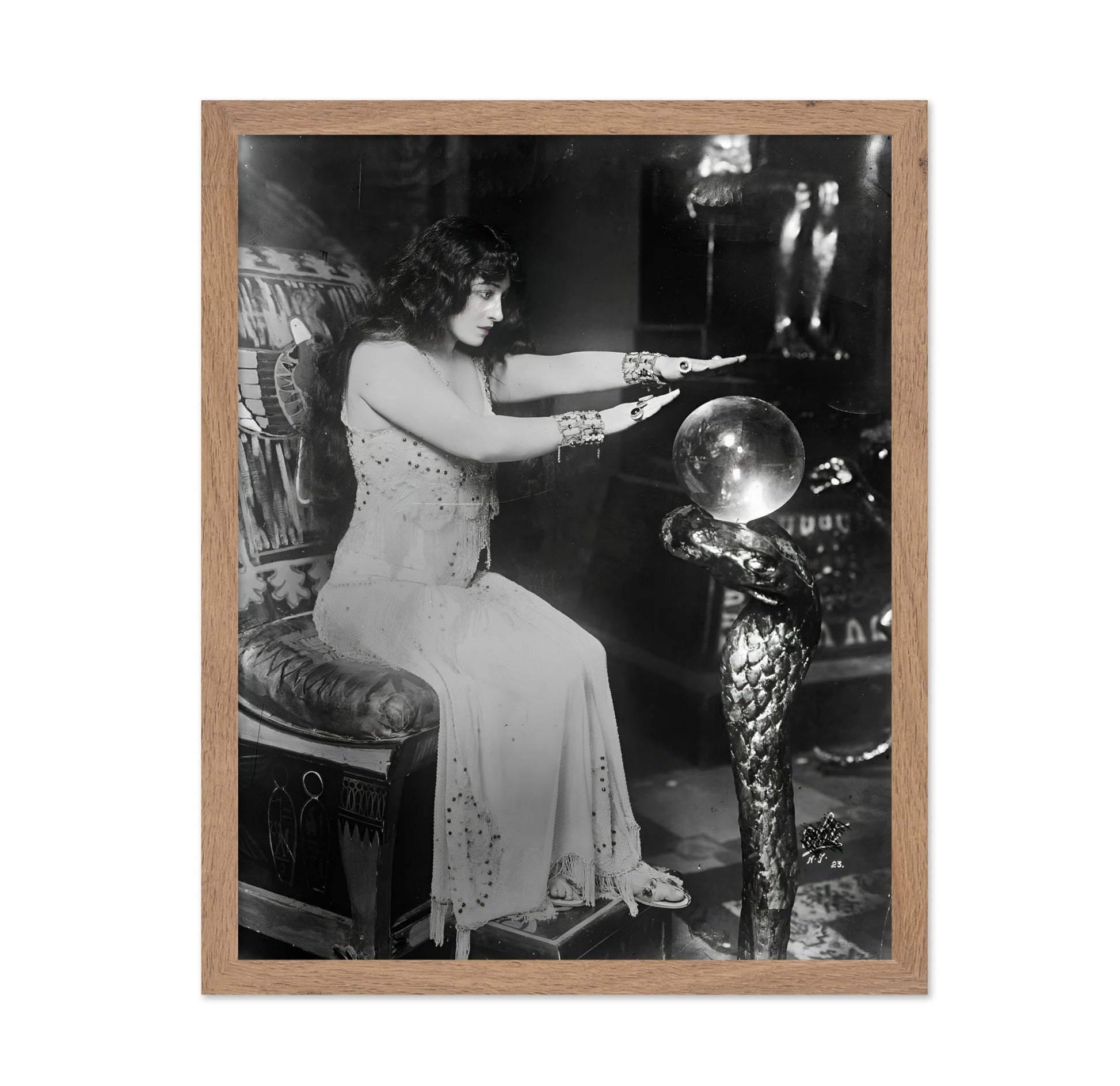 Fortune Teller No3