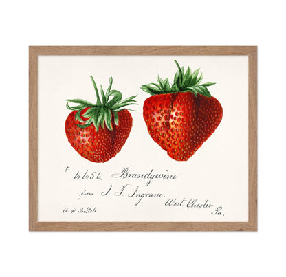 Strawberries