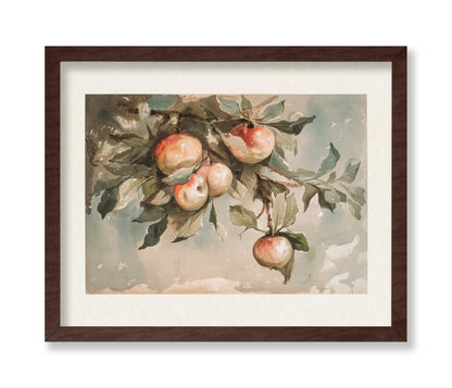 Study of Apples