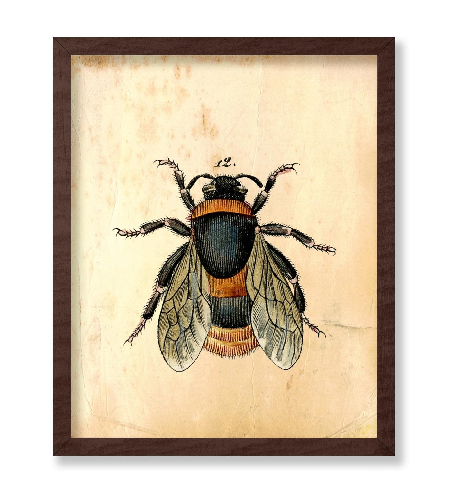 Bumblebee No1