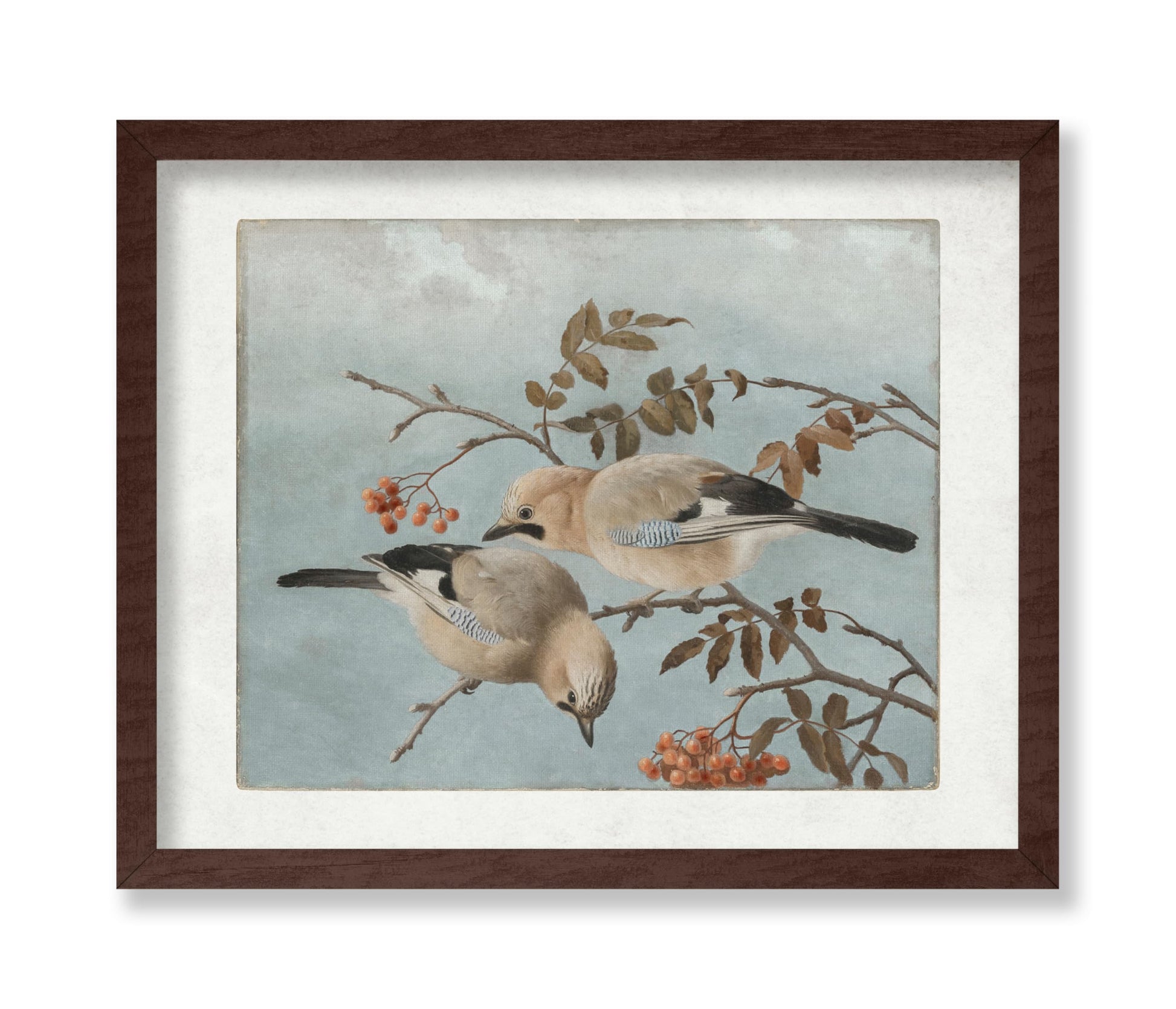 Ferdinand von Wright - Jays