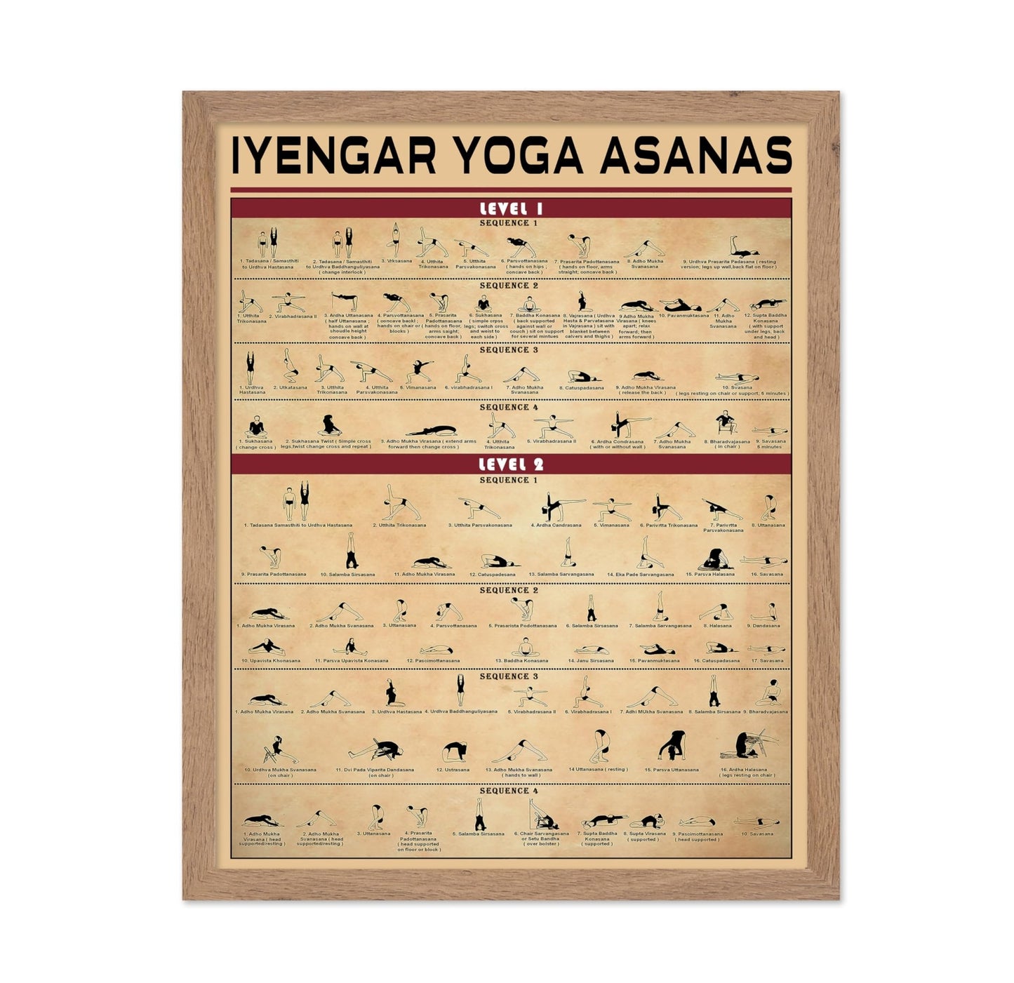 Yoga Knowledge No1