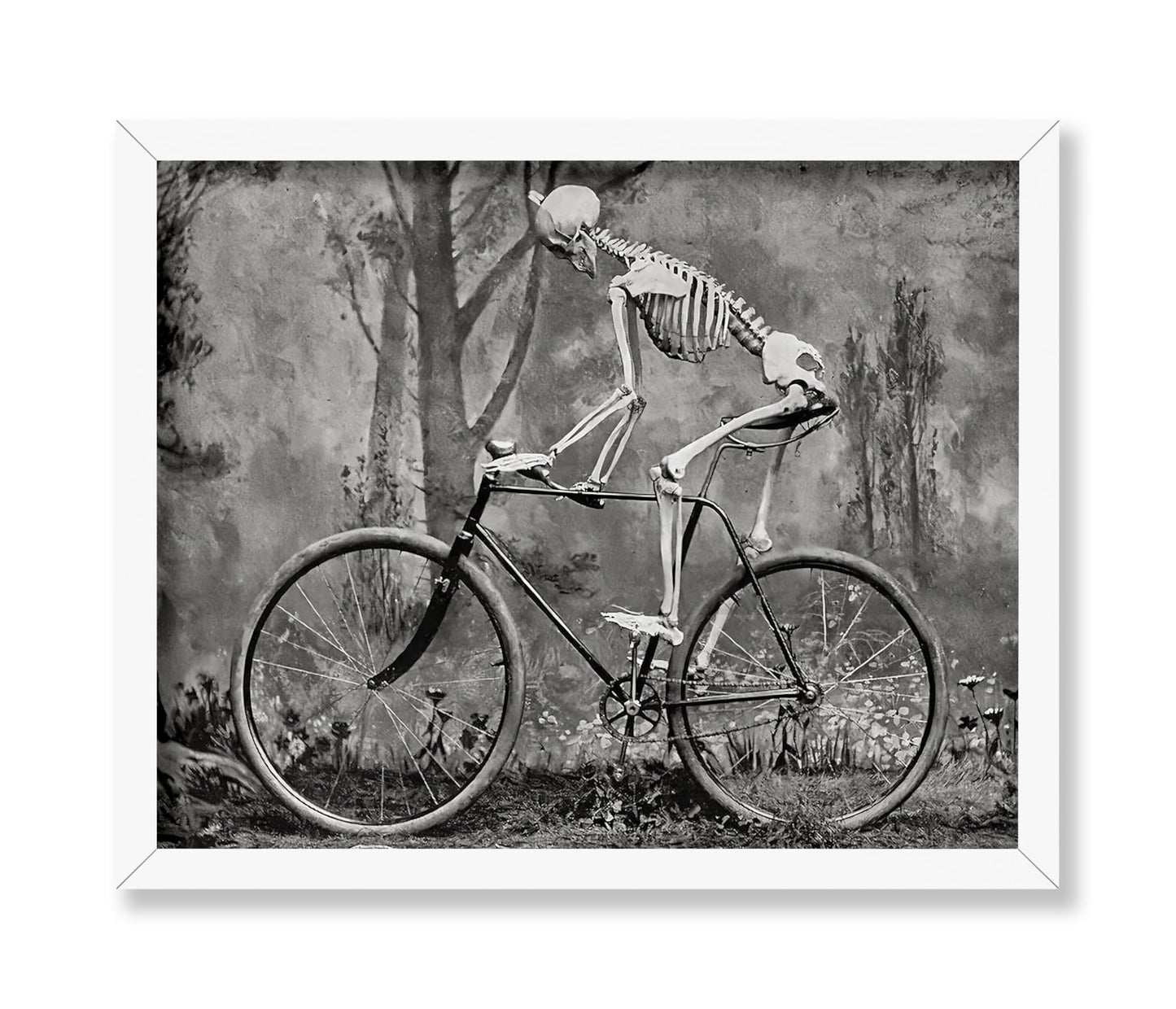 Skeleton on a Bike