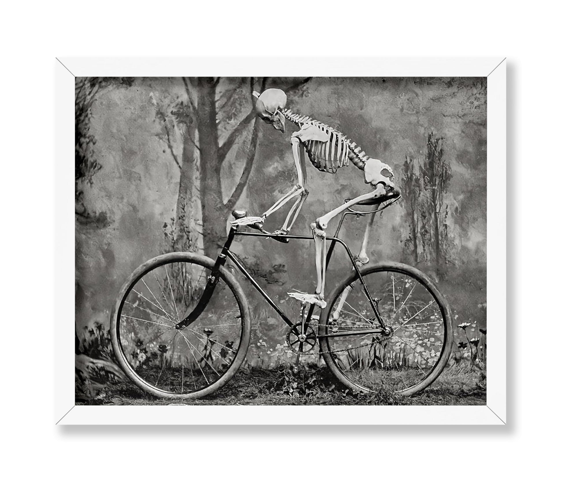Skeleton on a Bike