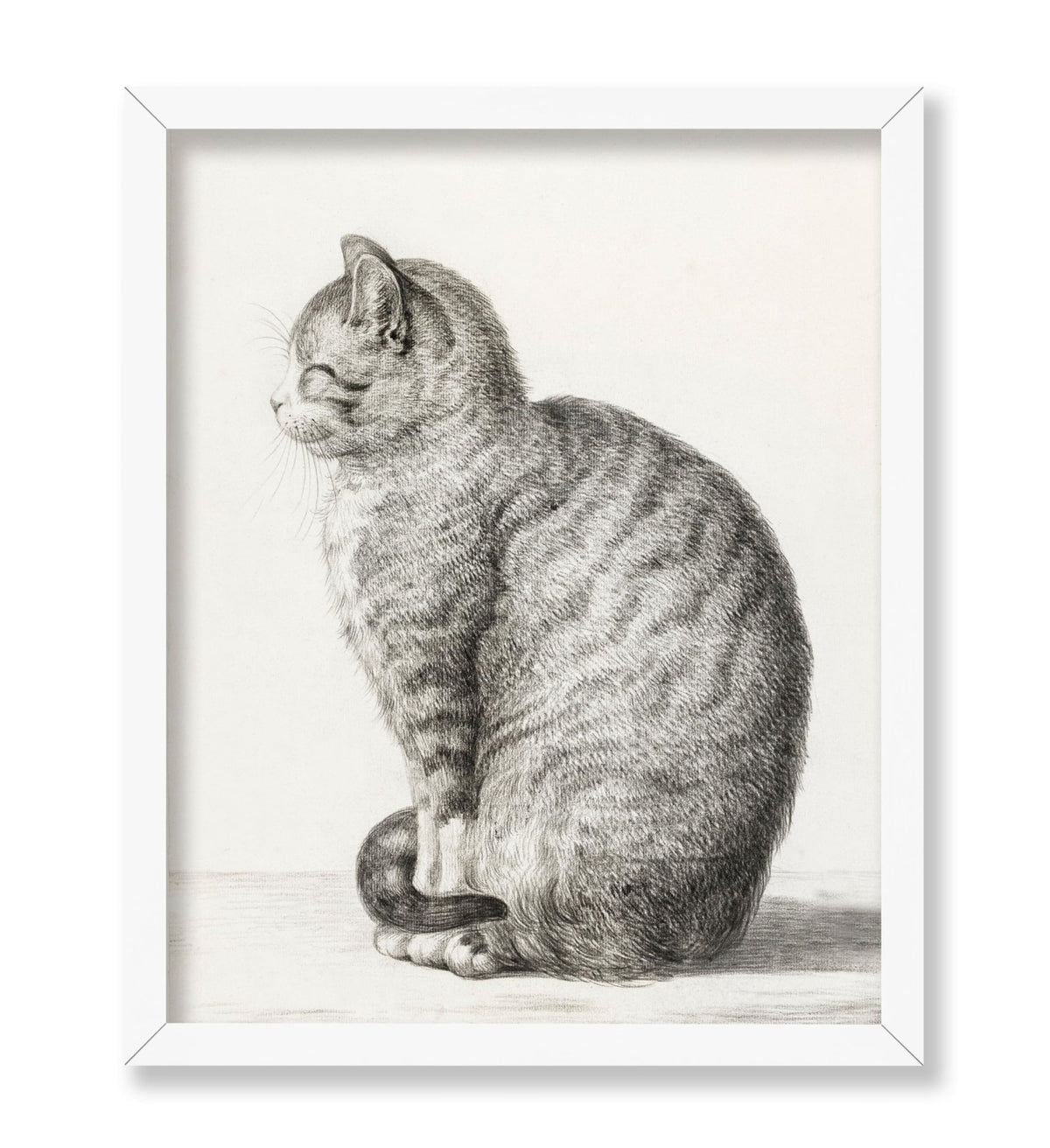 Jean Bernard - Sitting Cat, Facing Left