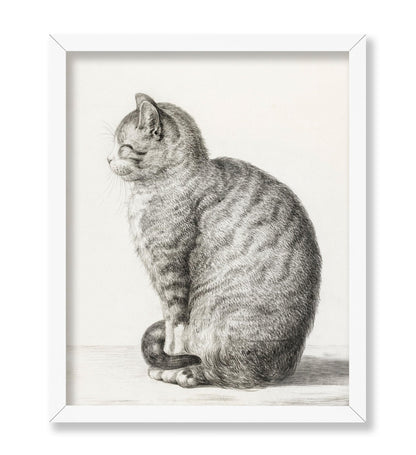 Jean Bernard - Sitting Cat, Facing Left