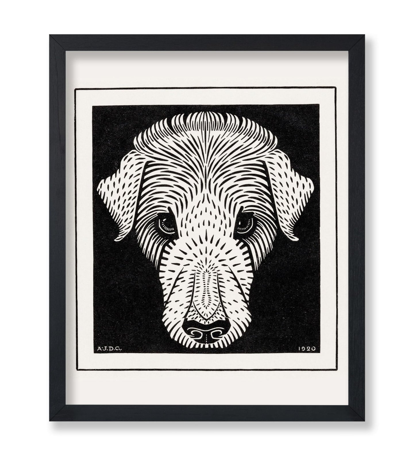 Dog's Head