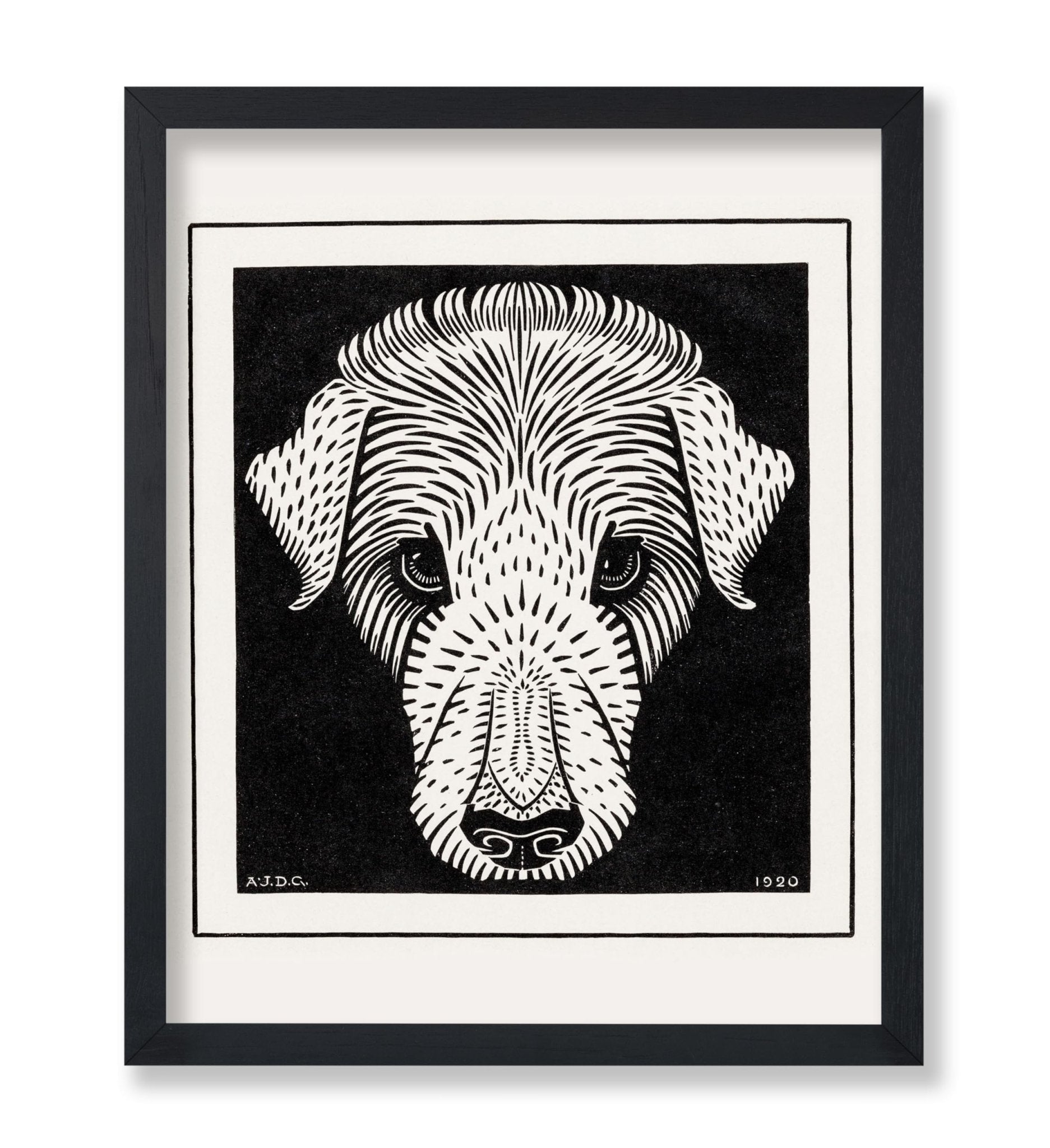 Dog's Head