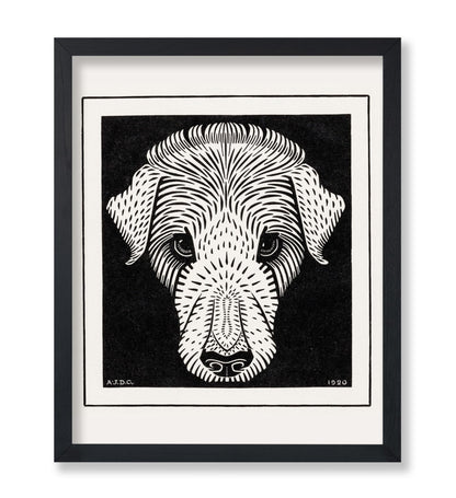 Dog's Head