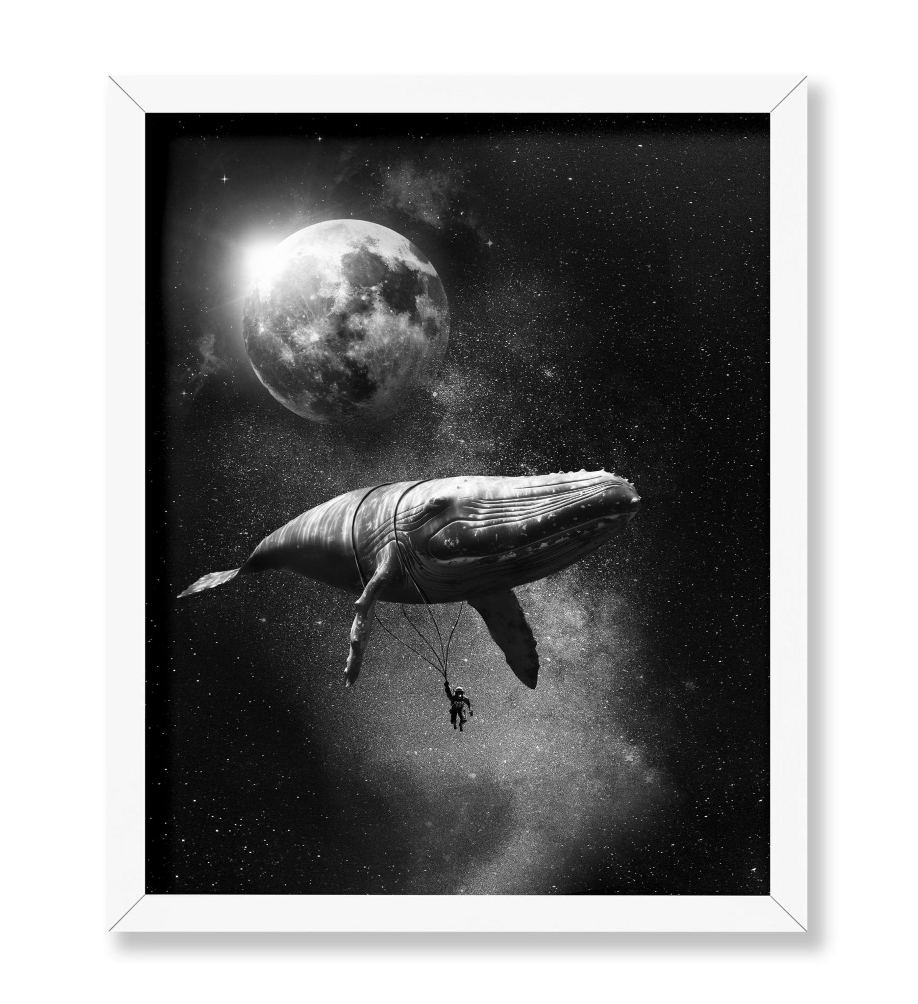 Blue Whale in Space
