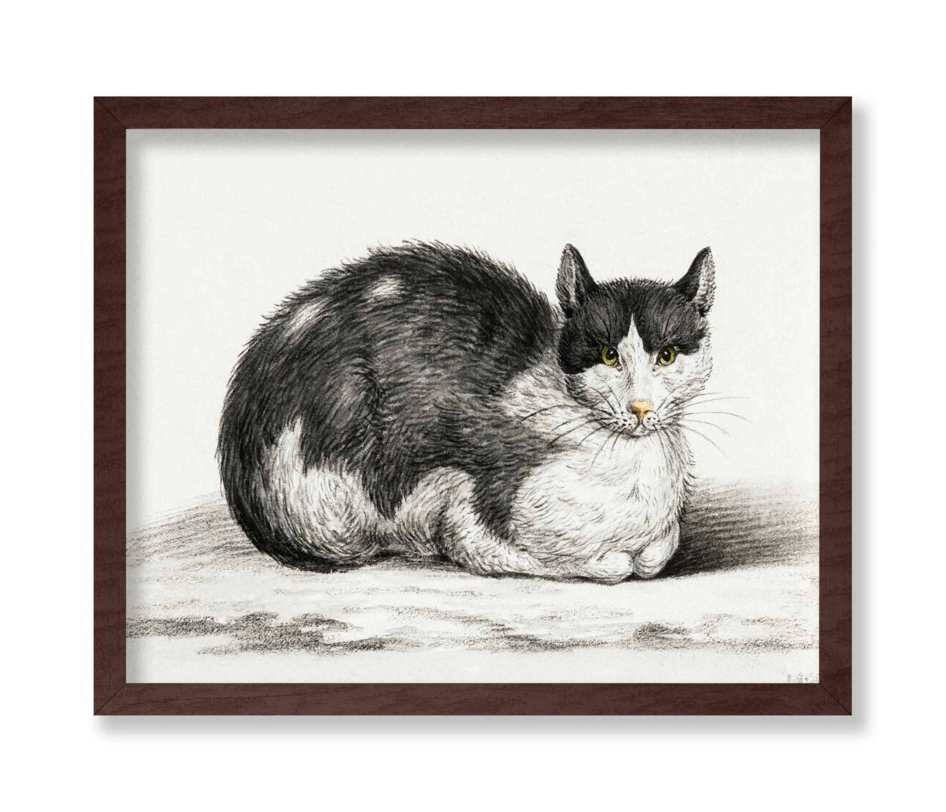 Lying Cat