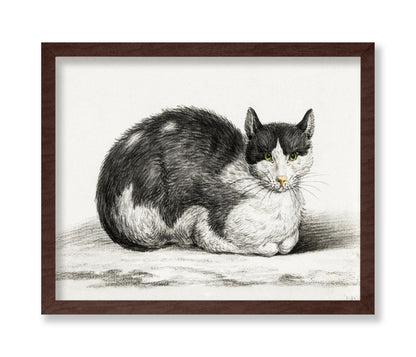 Lying Cat