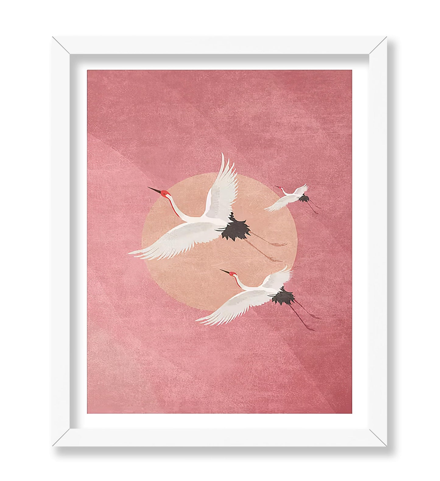 Flying Cranes, Pink Sky And Sun